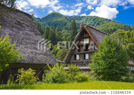 Beautiful scenery of Shirakawa-go 118846334