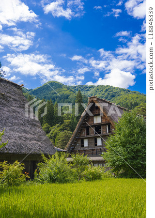 [縱貫照片]白川鄉的美麗風景 118846339