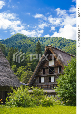 [Vertical photo] Beautiful scenery of Shirakawa-go 118846340