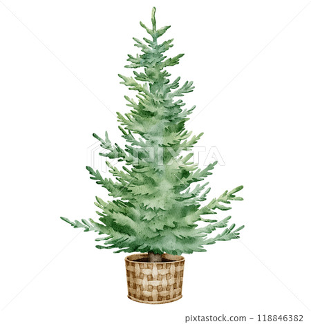 Watercolor Christmas Tree in a wicker basket. Hand drawn Illustration for Holiday Greeting Cards and New Year Invitations on isolated background. Drawing of evergreen Fir tree for Xmas design. 118846382