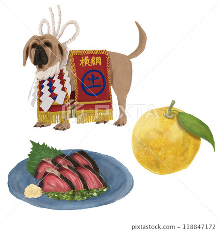 Kochi prefecture illustration set 118847172