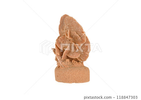 Desert rose gypsum mineral specimen on white background. 118847303