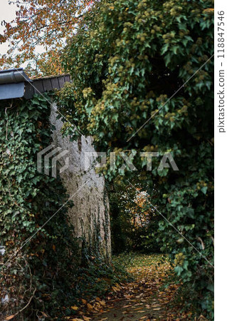 landscapes of an autumnal European village, Belgium, leaves colored by fall landscapes of an autumnal European village, Belgium, leaves colored by fall 118847546