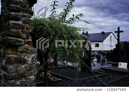 landscapes of an autumnal European village, Belgium, leaves colored by fall 118847569