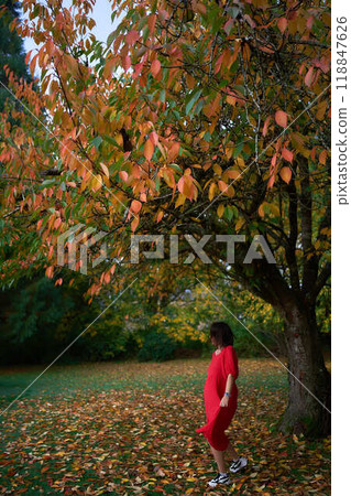 30-year-old medium-sized woman in a red muslin dress in an autumn garden 118847626