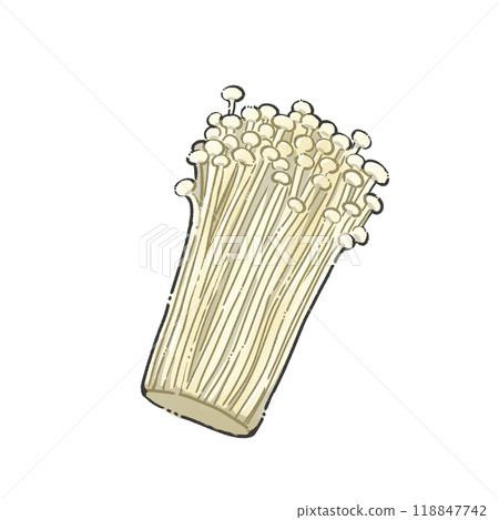 Enoki 118847742