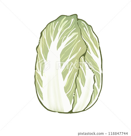 中國的白菜 118847744