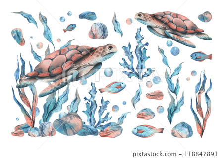 Underwater world clipart with sea animals turtle, fish, pebbles, bubbles, coral and algae. Hand drawn watercolor illustration. Set of elements isolated from the background 118847891