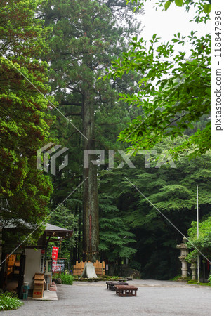 群馬縣澀川市水澤觀音杉 118847936