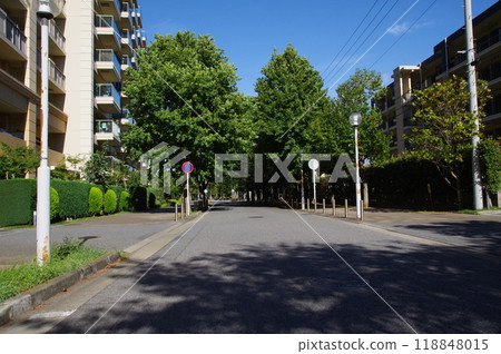 道路和樹影 118848015