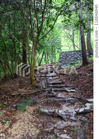 Gunma Prefecture, Shibukawa City, Mizusawa Kannon, Mizusawayama Mountain Trail 118848040