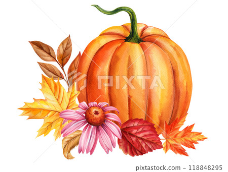 Autumn Pumpkins, flower, leaves isolated, watercolor painting fall illustration, Festive holiday decorations clip art 118848295