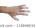 Close up thin hand with blood vessel, Patient characteristics body part, science education of human part, isolated on white background. 118848634