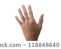 Close up asian thin hand with blood vessel, science education of human part, isolated on white background. 118848640