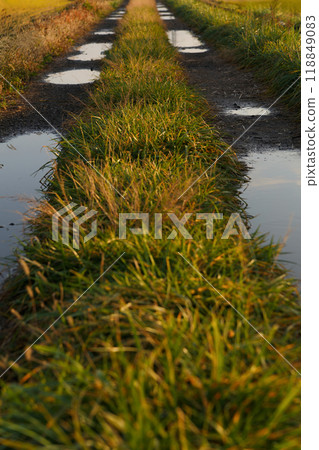 A country road with many puddles after the rain A country road with many puddles after the rain 118849083