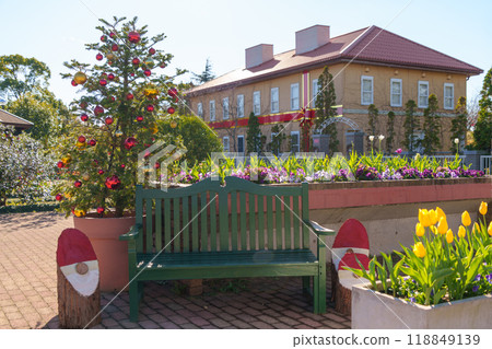 Winter English garden with Christmas decorations (Hanana Garden/Hiratsuka City, Kanagawa Prefecture) 118849139