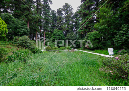 Gunma Prefecture, Shinto Village, Arai Hachiman Shrine, Hachiman Firefly Village 118849253