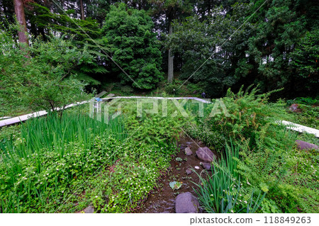 Gunma Prefecture, Shinto Village, Arai Hachiman Shrine, Hachiman Firefly Village Gunma Prefecture, Shinto Village, Arai Hachiman Shrine, Hachiman Firefly Village 118849263