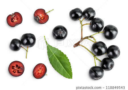 Chokeberry with leaf isolated on white background. Black aronia. Top view. Flat lay Chokeberry with leaf isolated on white background. Black aronia. Top view. Flat lay 118849543