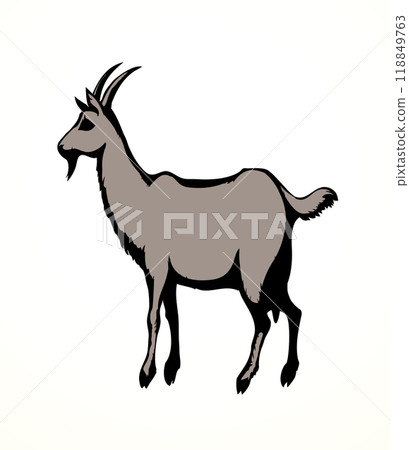 Big white goat. Vector animal 118849763
