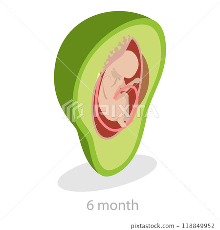 3D Isometric Flat Illustration of Embryo Monthly Growth Stages. Item 9 3D Isometric Flat Illustration of Embryo Monthly Growth Stages. Item 9 118849952