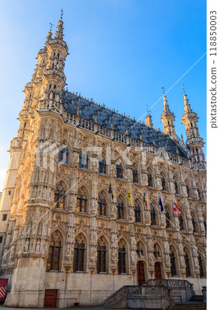 Town Hall in Leuven, Belgium 118850003