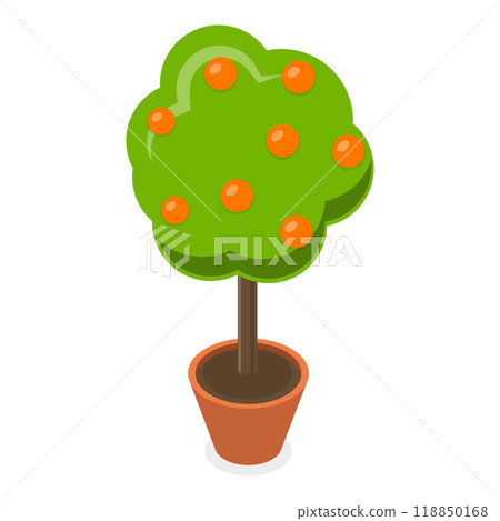 3D Isometric Flat  Set of Garden Flowers. Item 3 118850168