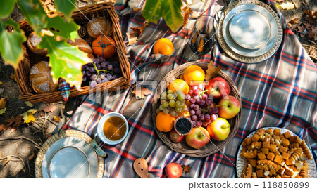 Autumn picnic spread with fresh fruits, bread, and beverages on a plaid blanket Autumn picnic spread with fresh fruits, bread, and beverages on a plaid blanket 118850899