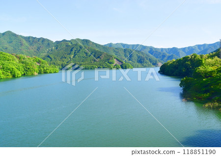 Plant dam (Gunma) 118851190