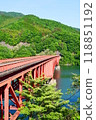 Plant dam (Gunma) 118851192