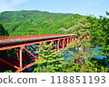 Plant dam (Gunma) 118851193