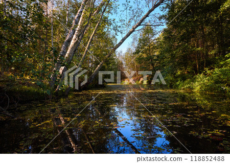 Tranquil River Reflections of Autumn Trees 118852488