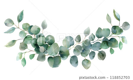 Eucalyptus Greenery Branch Watercolor Illustration 118852703