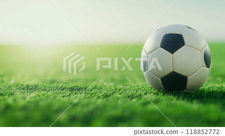 Banner with a soccer ball on the field turf, selective focus on the ball, space for a concept about football 118852772
