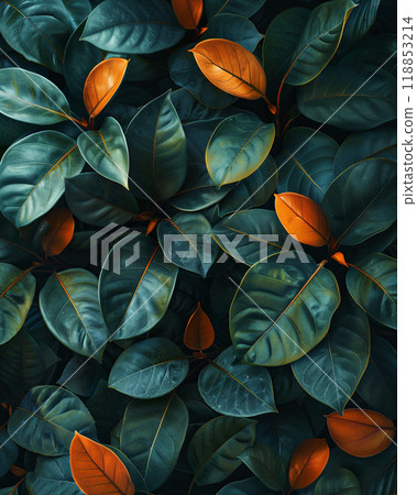 Tropical leaves background, idea for mockup and product splash 118853214