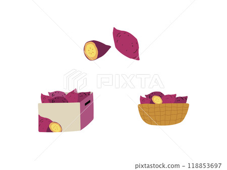 紅薯插圖集 118853697