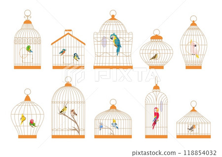 Cartoon birds in cages. Decorative bird and parrots in different cage. Canary bullfinch cockatoo budgie, brazil exotic birds nowaday vector clipart Cartoon birds in cages. Decorative bird and parrots in different cage. Canary bullfinch cockatoo budgie, brazil exotic birds nowaday vector clipart 118854032