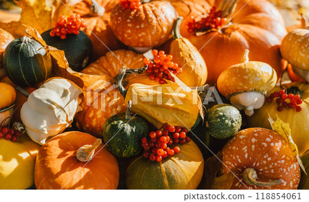 Autumn background with decorative pumpkins, berries and leaves close up. Autumn harvest composition for Thanksgiving or Halloween. 118854061