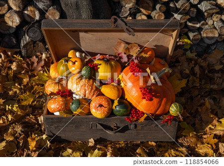 Autumn composition with pumpkins in an old suitcase. Different varieties of pumpkins and squash, red berries, leaves on autumn foliage background. Autumn composition with pumpkins in an old suitcase. Different varieties of pumpkins and squash, red berries, leaves on autumn foliage background. 118854066