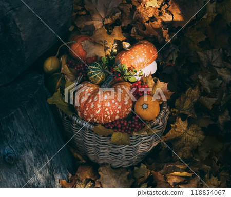 Decorative pumpkins in a basket closeup. Beautiful autumn composition with pumpkins, red berries and leaves. 118854067