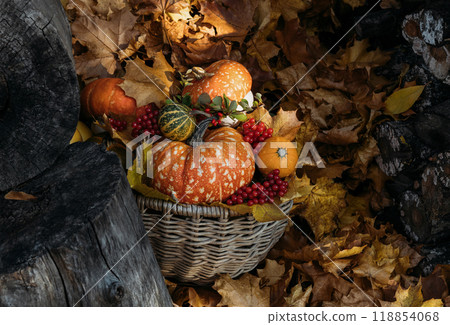Beautiful composition with pumpkins in a basket on autumn foliage background. Festive decoration for Thanksgiving or Halloween. 118854068