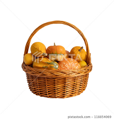 Pumpkins in a basket isolated on white background. Different varieties of decorative pumpkins. Autumn harvest. 118854069