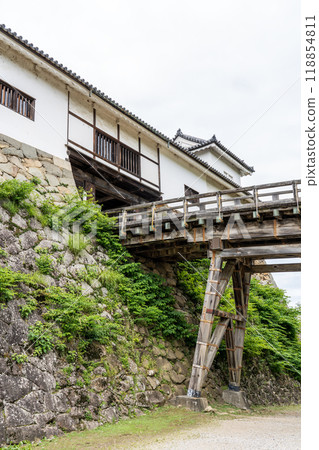 View of Hikone Castle 118854811