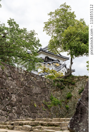 View of Hikone Castle 118855112