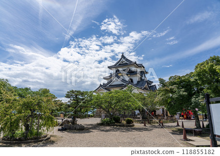 彥根城內的風景 彥根城內的風景 118855182