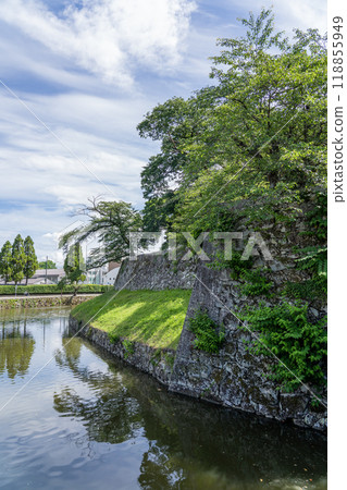 View of Hikone Castle 118855949