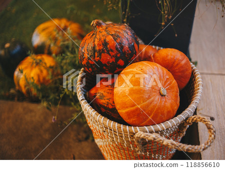basket full of pumpkins 118856610