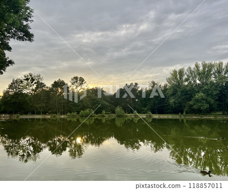 Sunset in the park with reflection of trees and clouds in the water 118857011