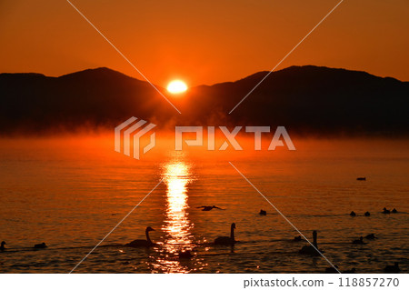 Swan in Lake Inawashiro 118857270