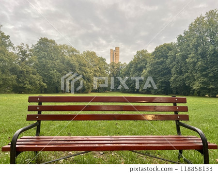 Wooden bench in the park with tall buildings in the background. 118858133